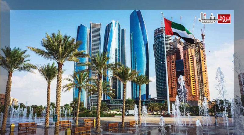  مجلس الوزراء الإماراتي يعتمد اللائحة التنفيذية للمرسوم بقانون لأنواع وشروط تأشيرات الدخول والإقامة