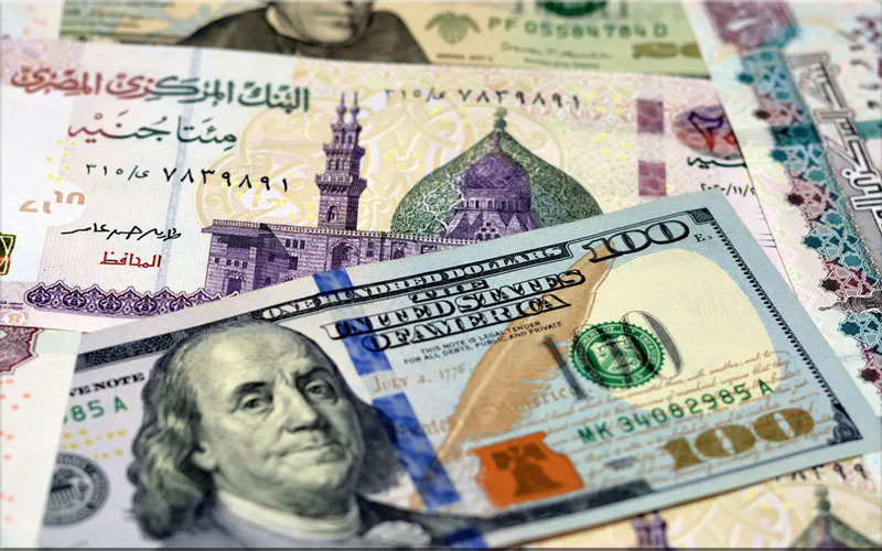 استقرار أسعار صرف الدولار مقابل الجنيه المصري في تعاملات اليوم