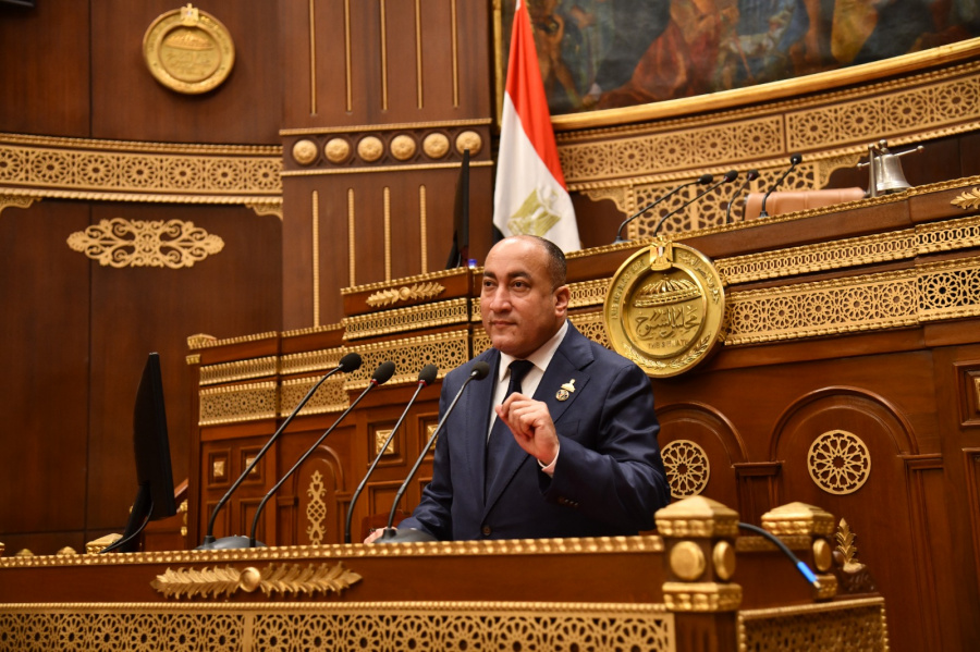 عضو مجلس الشيوخ: تعديل قانون التأمينات الاجتماعية ضرورة لتحقيق التوازن بين الاستدامة المالية والعدالة الاجتماعية